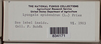 Image Associated With the Occurence